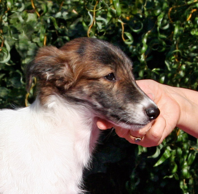 Surf Spots - Girl 1 Face